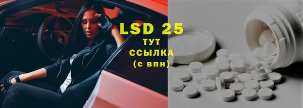 прущие грибы Абдулино