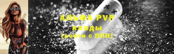 прущие грибы Абдулино