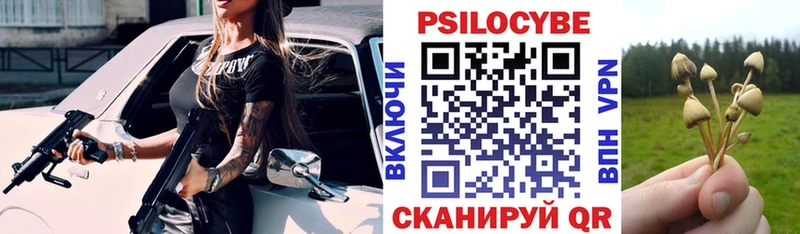 мориарти наркотические препараты  Нефтегорск  Псилоцибиновые грибы Cubensis 